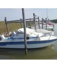 Pilotina semicabinata tullio abbate sea lady