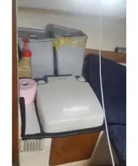 Pilotina semicabinata tullio abbate sea lady