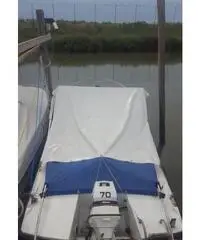 Pilotina semicabinata tullio abbate sea lady