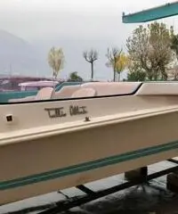 Tullio Abbate Sea Star 21