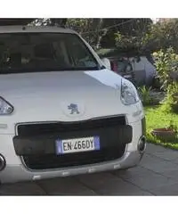 Partner typee - Lazio