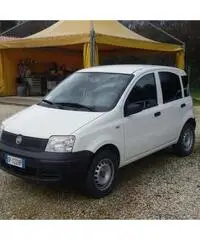 FIAT PANDA VAN METANO - Marche