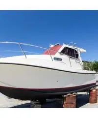 PROTEO 26 +2 x 150 HP VM