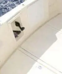 PROTEO 26 +2 x 150 HP VM