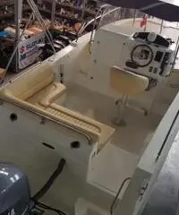 Mingolla barva 22wa