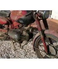 MotoBi Catria 175 Lusso 1a Serie