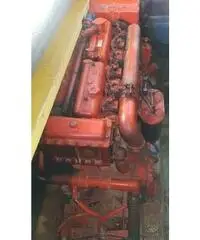 Sagene 28 - DISLOCANTE -