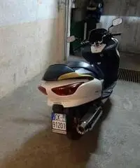Honda Forza - 2006 Honda Forza - 2006