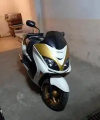 Honda Forza - 2006 Honda Forza - 2006
