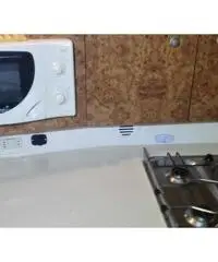 Gobbi 265 cabin Gobbi 265 cabin