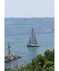 Day sailer in carbonio