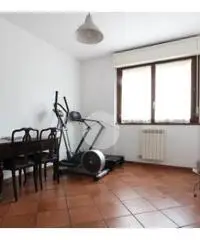 Trilocale doppi servizi