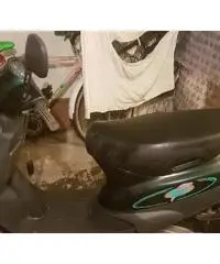 Zip Piaggio