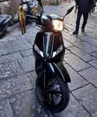 Honda CB900 Hornet