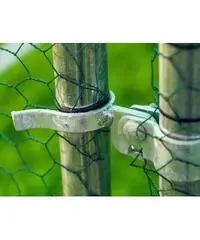 Gabbia per Polli 3x2m x 2mH-6mq - Verde