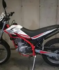 Beta Alp 200 - 2019 Beta Alp 200 - 2019