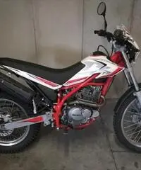 Beta Alp 200 - 2019 Beta Alp 200 - 2019