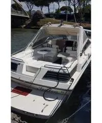 Sansukeer 31 Portofino