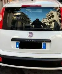 FIAT Panda 1.3 MJT 80 CV S&S Pop