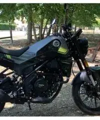 Benelli Leoncino 250 (300km)