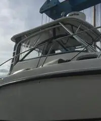 Fisherman Boston whaler 255 conquest Fisherman Boston whaler 255 conquest