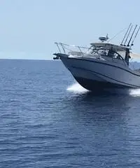 Fisherman Boston whaler 255 conquest Fisherman Boston whaler 255 conquest