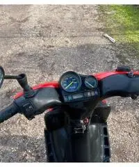 Gilera stalker 50