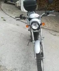 Beta alp 200