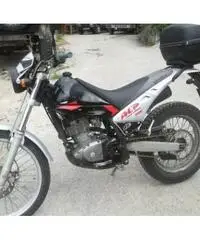 Beta alp 200