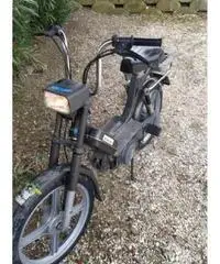 Piaggio bravo Piaggio bravo