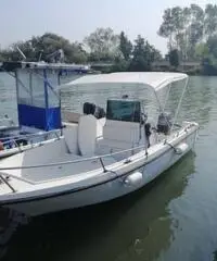 Barca con motore Suzuki