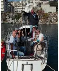 Leader 31 vela per tutti