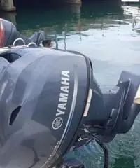 Saver fish 540
