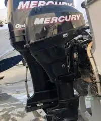 Sea hawk 216 semicabinato