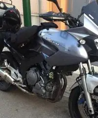 Tdm 900