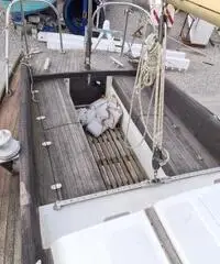 Panda 29