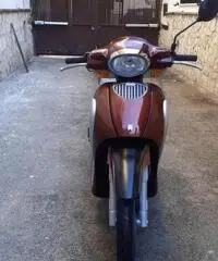 Aprilia Scarabeo 100 - 2001 Aprilia Scarabeo 100 - 2001