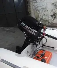 Gommone - Tender