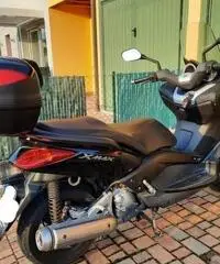 Xmax 250 2010