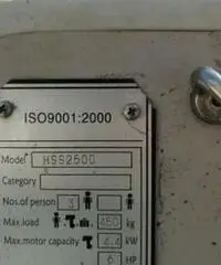 Tender nautiline Tender nautiline