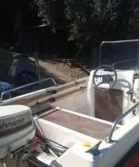 Sessa 385 + carrello trazionato