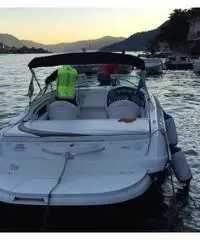 Barca sea ray 220 sun sport come nuova