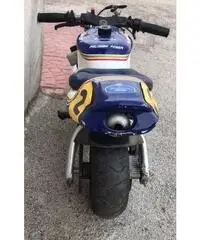 Minimoto polini