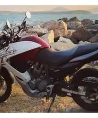 Honda transalp 700 Honda transalp 700