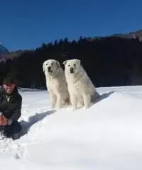 CONOSCIAMOCI CONOSCIAMOCI