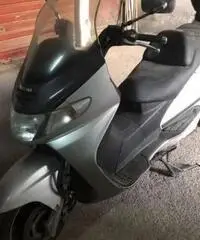 Burgman Burgman