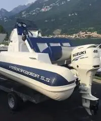 Gommone Velociraptor con Suzuki DF 40 Ari nuovo