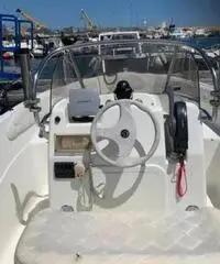 Barca a motore