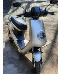 NIU MQi+Sport 2020