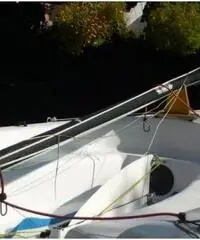Classe dinghy 3,6mt